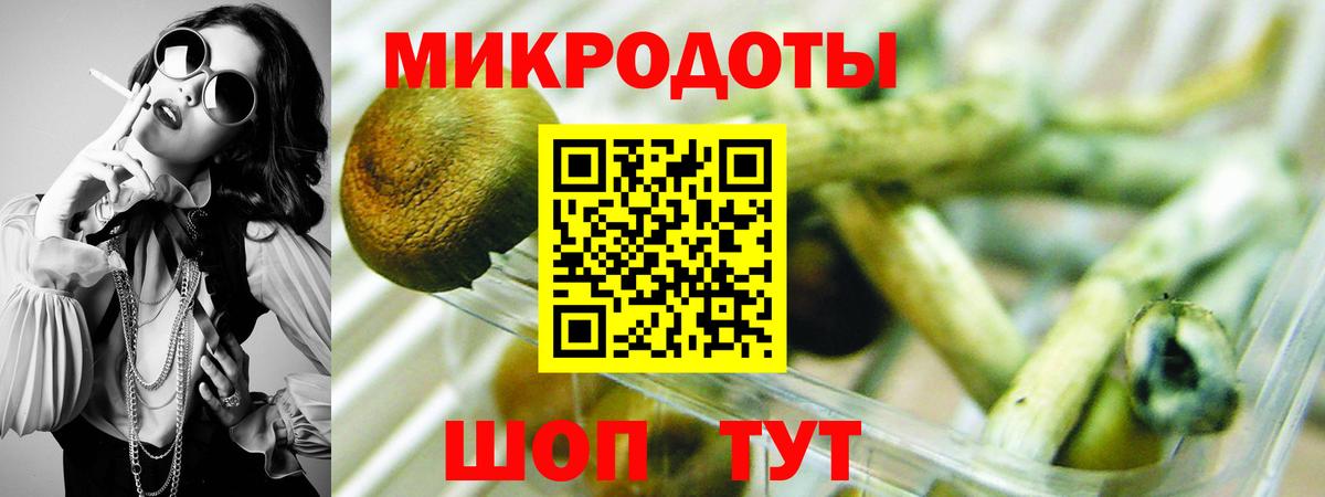 Тверь  Галлюциногенные грибы мицелий  купить наркоту  Вход с VPN 